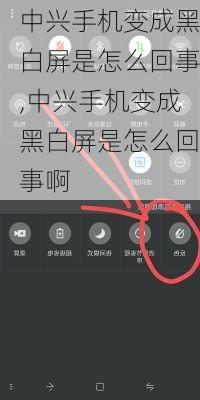 中兴手机变成黑白屏是怎么回事,中兴手机变成黑白屏是怎么回事啊