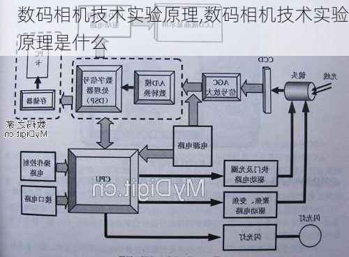 数码相机技术实验原理,数码相机技术实验原理是什么