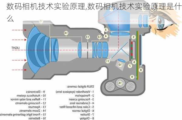 数码相机技术实验原理,数码相机技术实验原理是什么