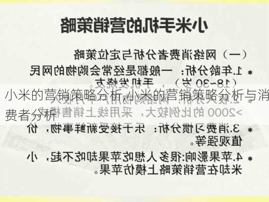 小米的营销策略分析,小米的营销策略分析与消费者分析