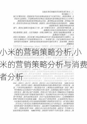 小米的营销策略分析,小米的营销策略分析与消费者分析