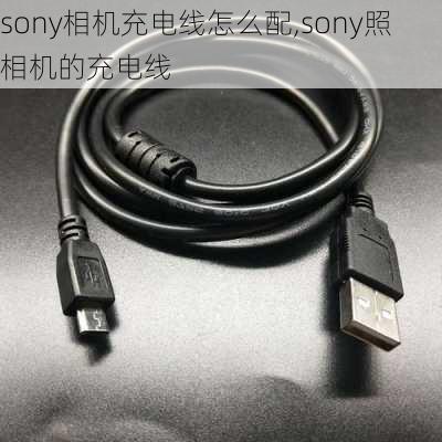 sony相机充电线怎么配,sony照相机的充电线