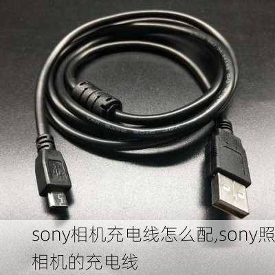 sony相机充电线怎么配,sony照相机的充电线