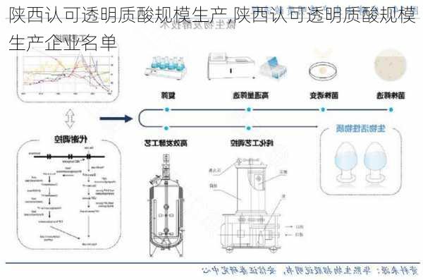 陕西认可透明质酸规模生产,陕西认可透明质酸规模生产企业名单