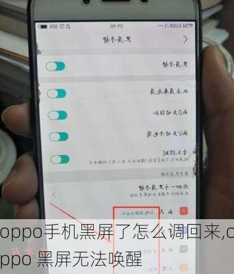 oppo手机黑屏了怎么调回来,oppo 黑屏无法唤醒