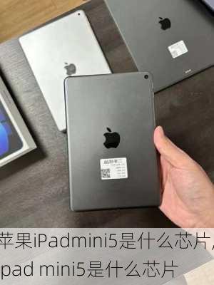 苹果iPadmini5是什么芯片,ipad mini5是什么芯片