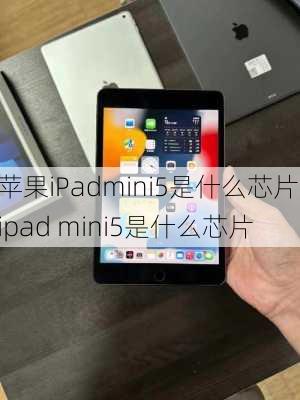 苹果iPadmini5是什么芯片,ipad mini5是什么芯片