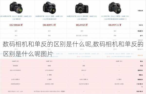数码相机和单反的区别是什么呢,数码相机和单反的区别是什么呢图片