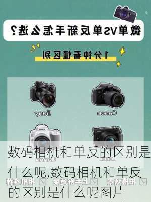 数码相机和单反的区别是什么呢,数码相机和单反的区别是什么呢图片