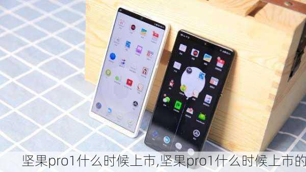 坚果pro1什么时候上市,坚果pro1什么时候上市的