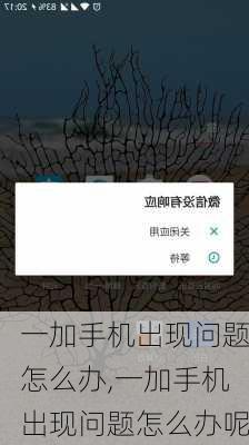 一加手机出现问题怎么办,一加手机出现问题怎么办呢