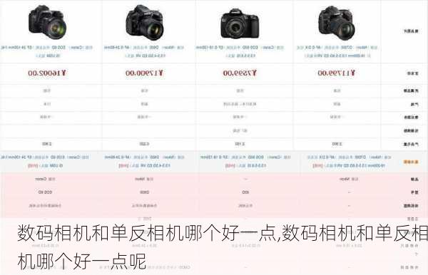 数码相机和单反相机哪个好一点,数码相机和单反相机哪个好一点呢