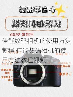 佳能数码相机的使用方法教程,佳能数码相机的使用方法教程视频