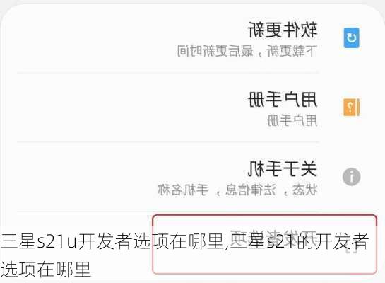 三星s21u开发者选项在哪里,三星s21的开发者选项在哪里