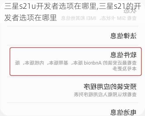 三星s21u开发者选项在哪里,三星s21的开发者选项在哪里