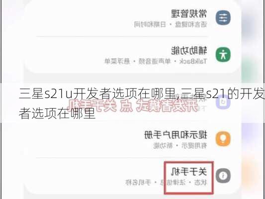 三星s21u开发者选项在哪里,三星s21的开发者选项在哪里