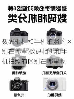 数码相机和手机拍照的区别在哪里,数码相机和手机拍照的区别在哪里呢