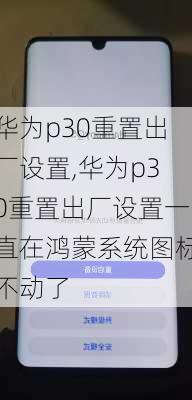 华为p30重置出厂设置,华为p30重置出厂设置一直在鸿蒙系统图标不动了