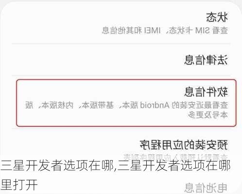 三星开发者选项在哪,三星开发者选项在哪里打开