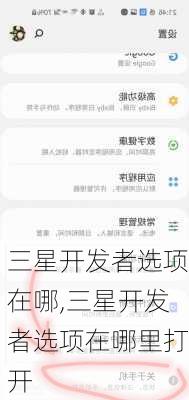 三星开发者选项在哪,三星开发者选项在哪里打开