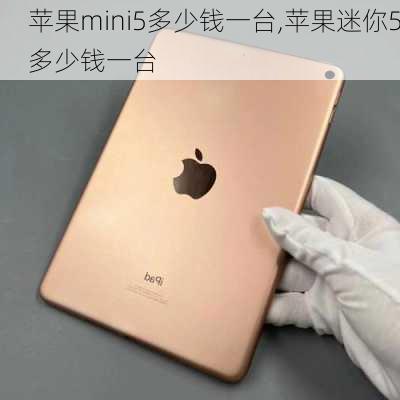 苹果mini5多少钱一台,苹果迷你5多少钱一台