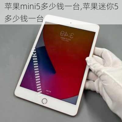 苹果mini5多少钱一台,苹果迷你5多少钱一台