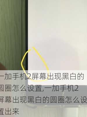 一加手机2屏幕出现黑白的圆圈怎么设置,一加手机2屏幕出现黑白的圆圈怎么设置出来