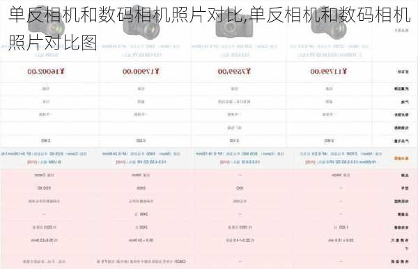 单反相机和数码相机照片对比,单反相机和数码相机照片对比图