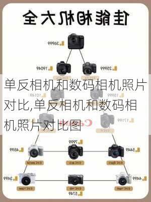 单反相机和数码相机照片对比,单反相机和数码相机照片对比图