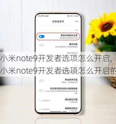 小米note9开发者选项怎么开启,小米note9开发者选项怎么开启的