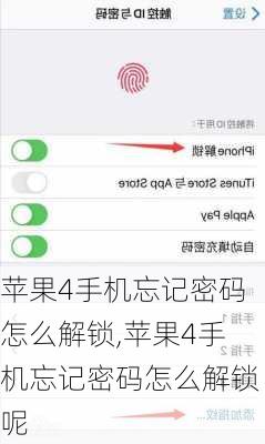 苹果4手机忘记密码怎么解锁,苹果4手机忘记密码怎么解锁呢