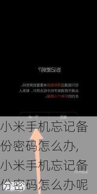 小米手机忘记备份密码怎么办,小米手机忘记备份密码怎么办呢