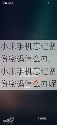 小米手机忘记备份密码怎么办,小米手机忘记备份密码怎么办呢