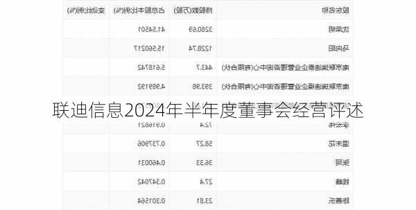 联迪信息2024年半年度董事会经营评述