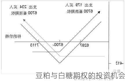 豆粕与白糖期权的投资机会