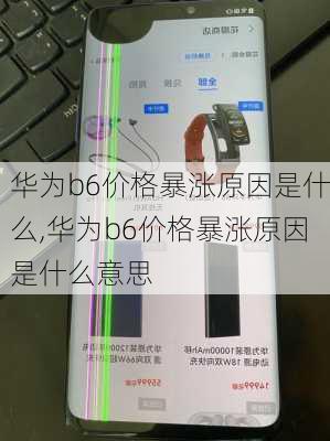 华为b6价格暴涨原因是什么,华为b6价格暴涨原因是什么意思