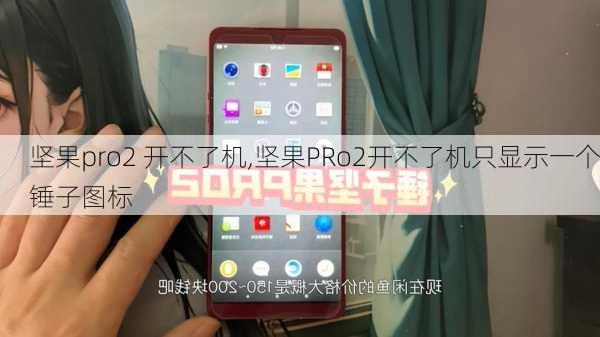 坚果pro2 开不了机,坚果PRo2开不了机只显示一个锤子图标