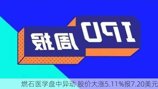 燃石医学盘中异动 股价大涨5.11%报7.20美元