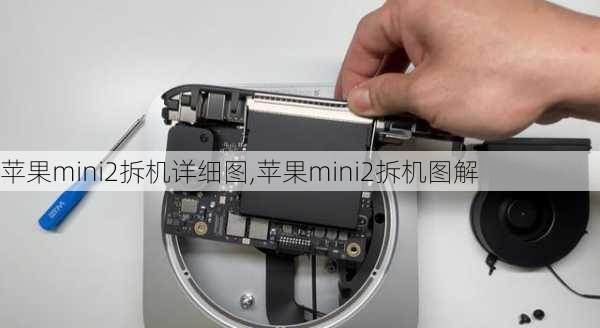 苹果mini2拆机详细图,苹果mini2拆机图解