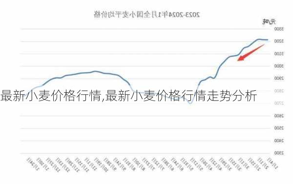 最新小麦价格行情,最新小麦价格行情走势分析