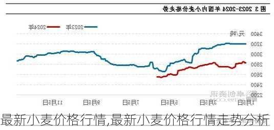 最新小麦价格行情,最新小麦价格行情走势分析