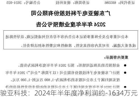 骏亚科技：2024年半年度净利润约-1634万元