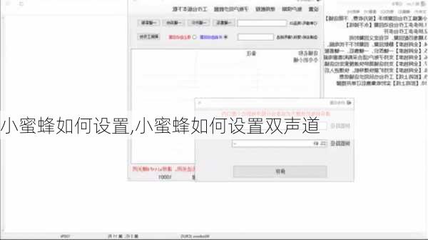 小蜜蜂如何设置,小蜜蜂如何设置双声道