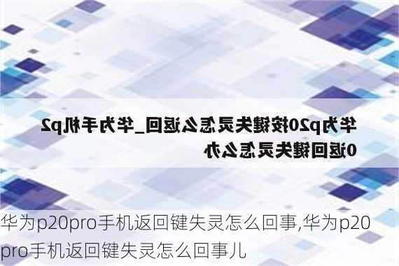 华为p20pro手机返回键失灵怎么回事,华为p20pro手机返回键失灵怎么回事儿