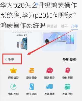 华为p20怎么升级鸿蒙操作系统吗,华为p20如何升级鸿蒙操作系统吗