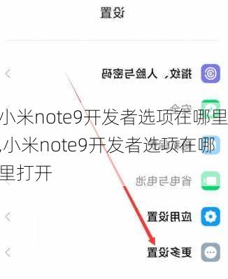 小米note9开发者选项在哪里,小米note9开发者选项在哪里打开