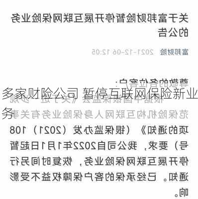 多家财险公司 暂停互联网保险新业务