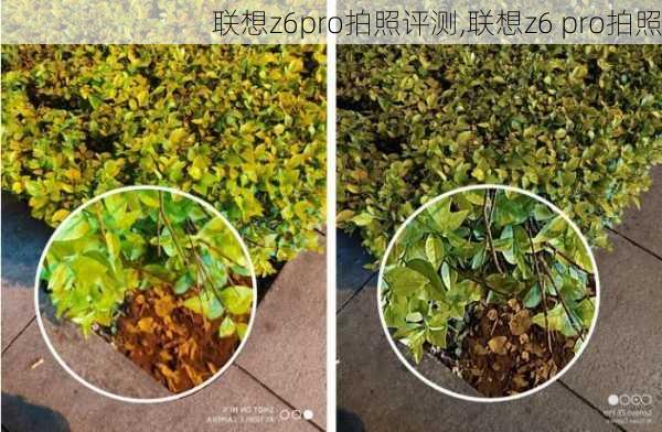 联想z6pro拍照评测,联想z6 pro拍照