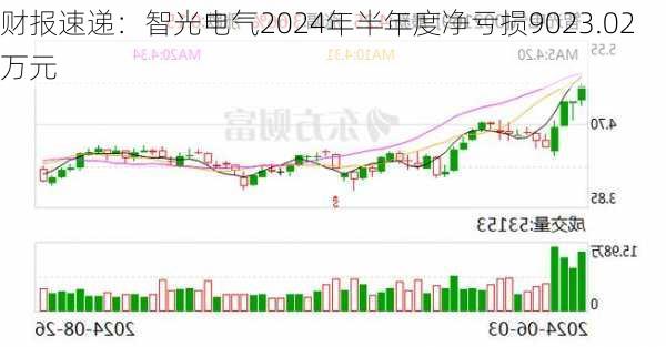 财报速递：智光电气2024年半年度净亏损9023.02万元