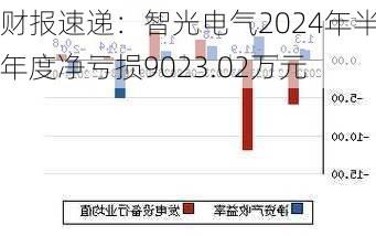 财报速递：智光电气2024年半年度净亏损9023.02万元